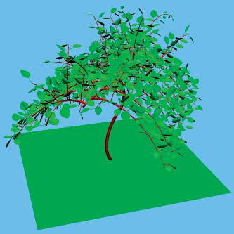 3D visualisation of a virtual kiwifruit